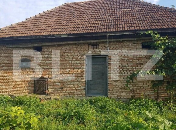 Casa de vânzare 3 camere Cheud - 163697CV | BLITZ Zalău | Poza3