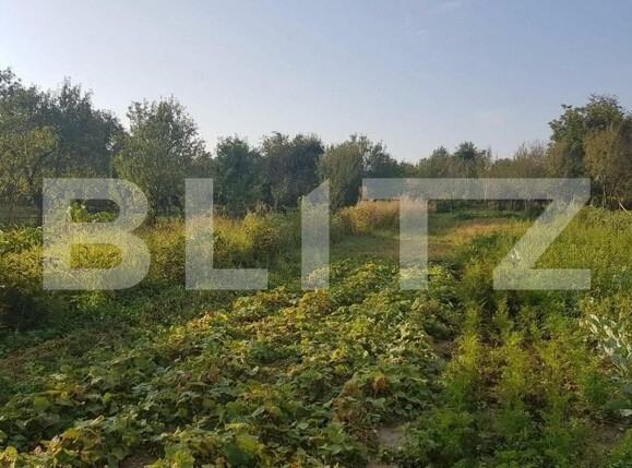 Casa de vânzare 3 camere Cheud - 163697CV | BLITZ Zalău | Poza4