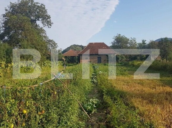 Casa de vânzare 3 camere Cheud - 163697CV | BLITZ Zalău | Poza5