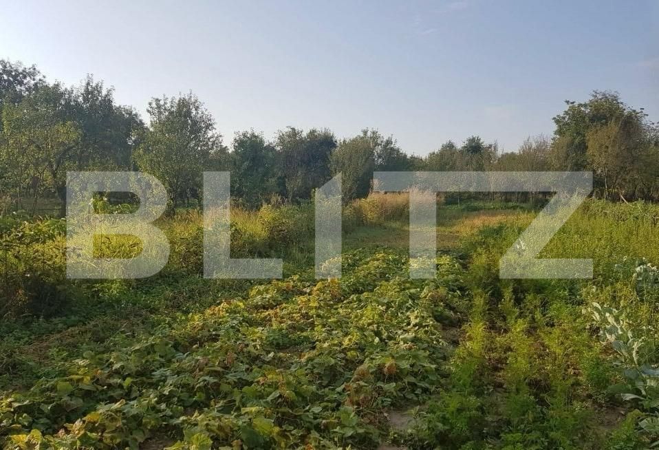 Casa de vânzare 3 camere Cheud - 163697CV | BLITZ Zalău | Poza4