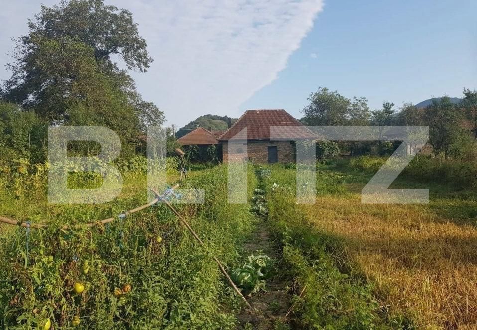 Casa de vânzare 3 camere Cheud - 163697CV | BLITZ Zalău | Poza5