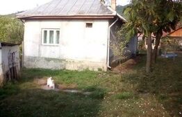 Casa de vanzare Coseiu