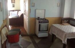 Casa de vanzare Coseiu