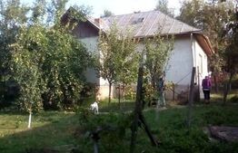 Casa de vanzare Coseiu