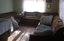 Casa de vanzare Coseiu