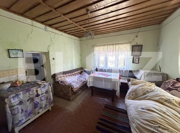 Casa de vânzare 2 camere Coseiu - 163813CV | BLITZ Zalău | Poza9