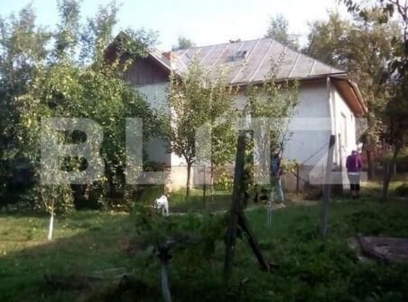 Casa de vânzare 2 camere Coseiu - 163813CV | BLITZ Zalău | Poza2