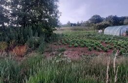 Casa de vanzare Criștelec 