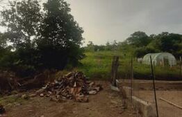 Casa de vanzare Criștelec 