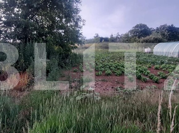 Casa de vânzare 2 camere Cristelec - 163990CV | BLITZ Zalău | Poza8