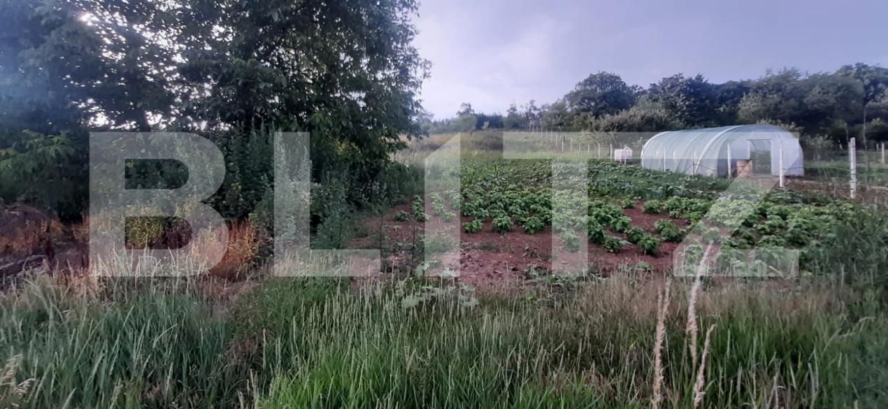 Casa de vânzare 2 camere Cristelec - 163990CV | BLITZ Zalău | Poza10