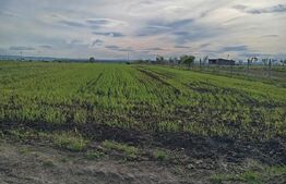 Teren intravilan cu 2 drumurie de acces.