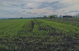 Teren intravilan cu 2 drumurie de acces.