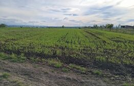 Teren intravilan cu 2 drumurie de acces.