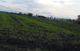 Teren intravilan cu 2 drumurie de acces.