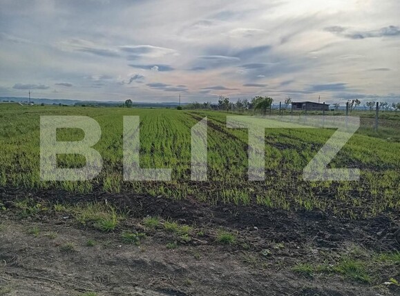 Teren de vânzare Nusfalau - 164437TV | BLITZ Zalău | Poza4