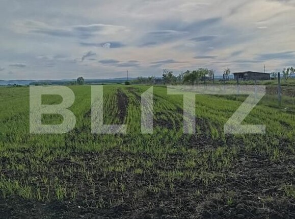 Teren de vânzare Nusfalau - 164437TV | BLITZ Zalău | Poza1