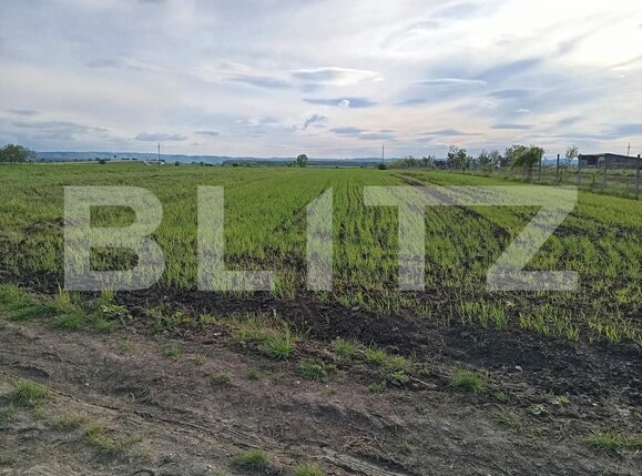 Teren de vânzare Nusfalau - 164437TV | BLITZ Zalău | Poza2