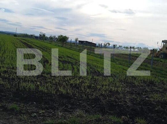 Teren de vânzare Nusfalau - 164437TV | BLITZ Zalău | Poza3