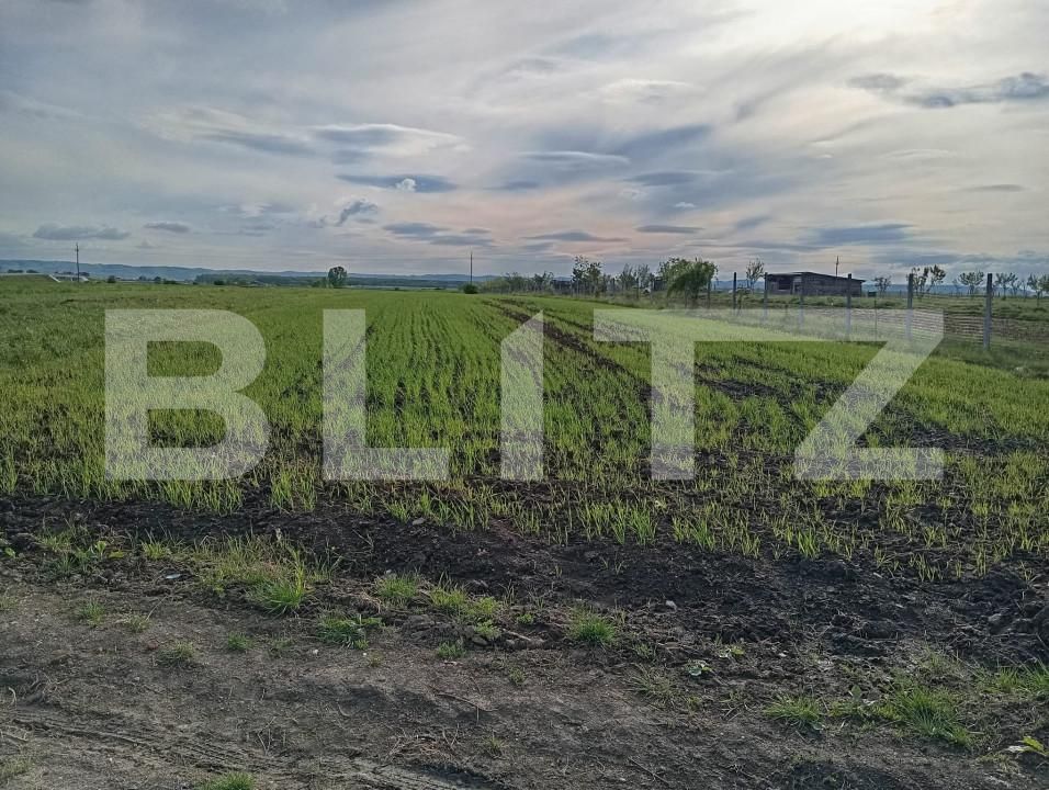 Teren de vânzare Nusfalau - 164437TV | BLITZ Zalău | Poza4