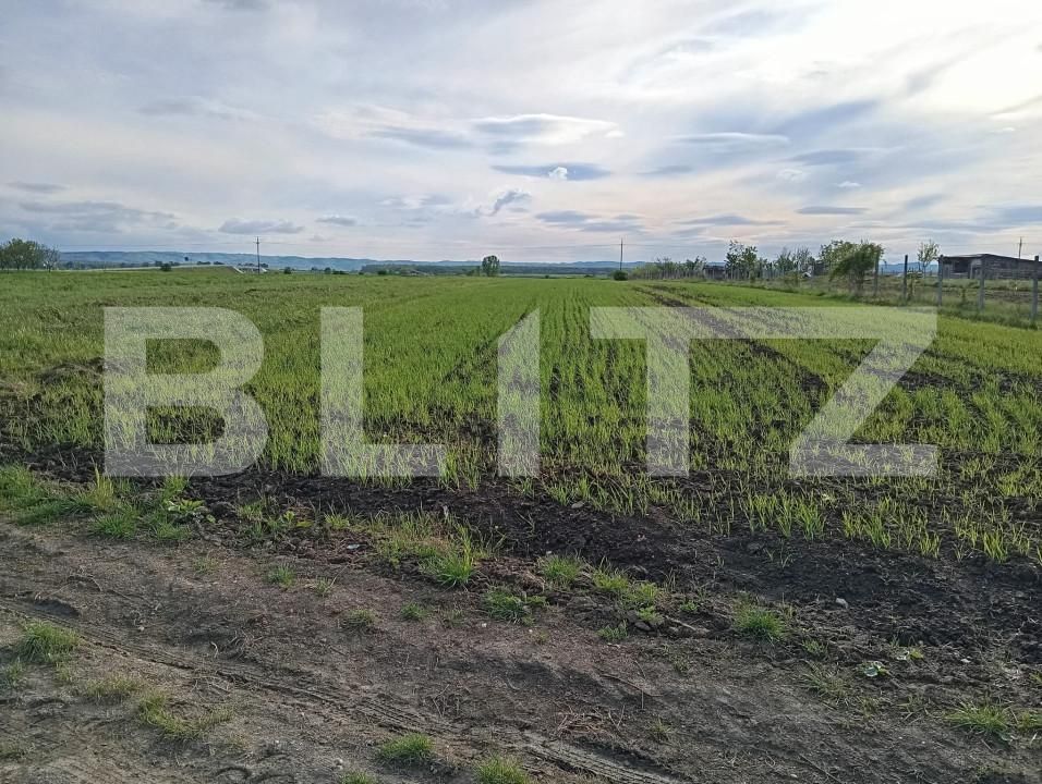 Teren de vânzare Nusfalau - 164437TV | BLITZ Zalău | Poza2