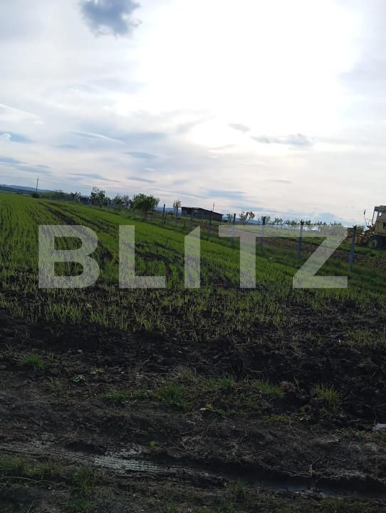 Teren de vânzare Nusfalau - 164437TV | BLITZ Zalău | Poza3