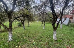 Casa de vanzare Cuceu