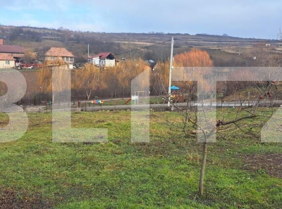 Teren de vânzare Criseni - 164747TV | BLITZ Zalău | Poza1