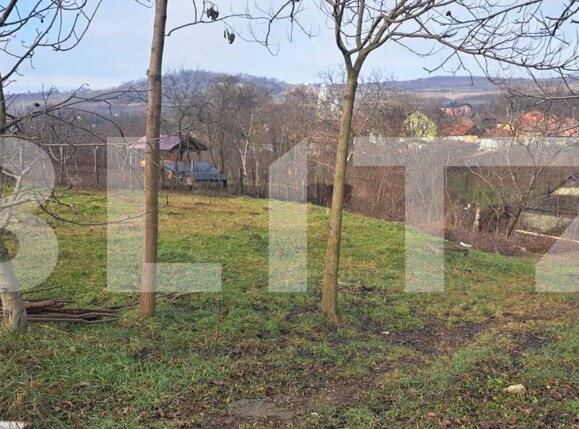 Teren de vânzare Criseni - 164747TV | BLITZ Zalău | Poza2