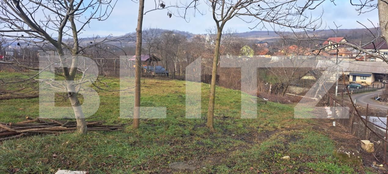 Teren de vânzare Criseni - 164747TV | BLITZ Zalău | Poza2
