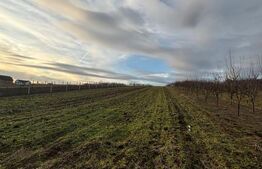 Teren intravilan 33 ari, Simleu Silvaniei