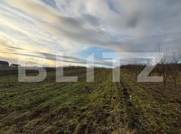 Teren de vânzare Simleu Silvaniei - 165042TV | BLITZ Zalău | Poza2