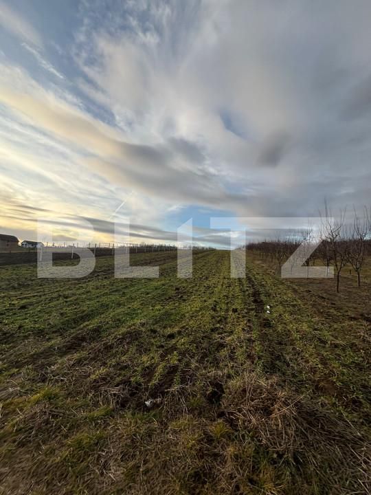 Teren de vânzare Simleu Silvaniei - 165042TV | BLITZ Zalău | Poza2