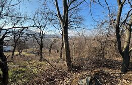 Teren intravilan de vanzare, 17700 mp Zalau