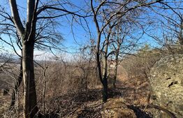 Teren intravilan de vanzare, 17700 mp Zalau