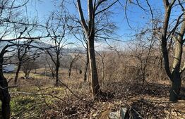 Teren intravilan de vanzare, 17700 mp Zalau