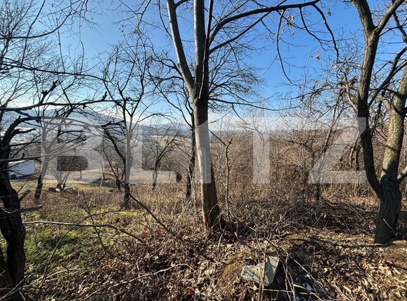 Teren de vânzare Exterior-Sud - 165659TV | BLITZ Zalău | Poza1