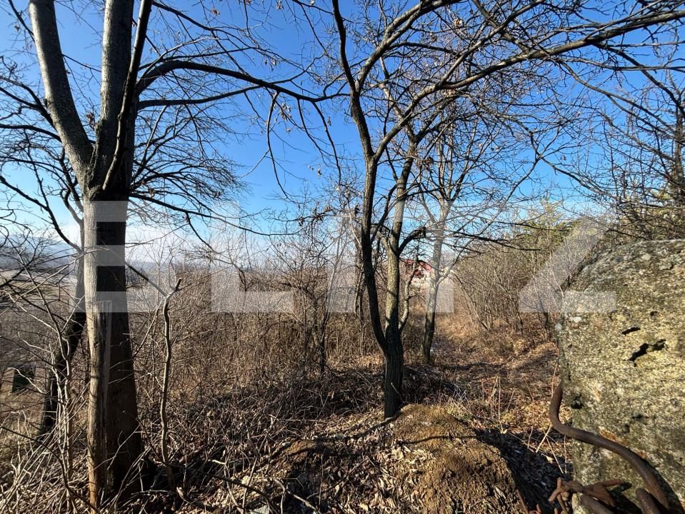 Teren de vânzare Exterior-Sud - 165659TV | BLITZ Zalău | Poza3