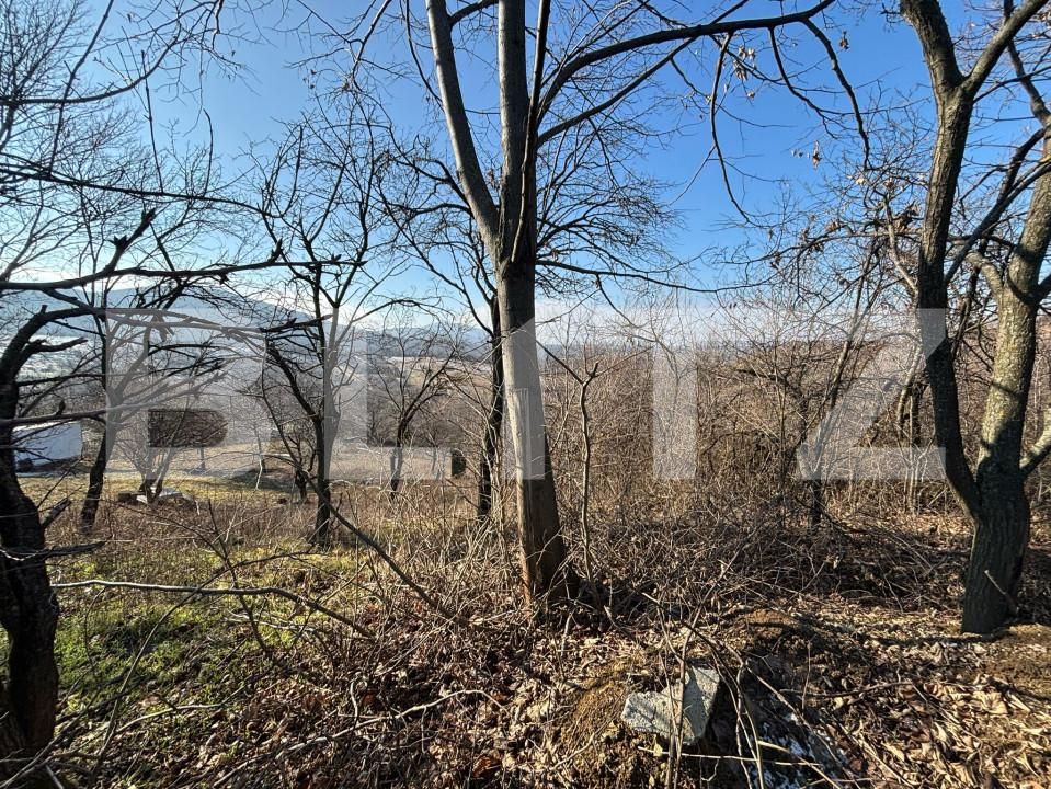 Teren de vânzare Exterior-Sud - 165659TV | BLITZ Zalău | Poza2