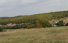 Teren intravilan de vanzare, 15 ari, Zalau 