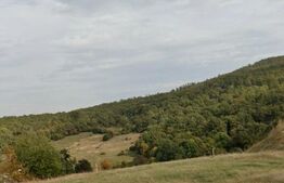 Teren intravilan de vanzare, 15 ari, Zalau 