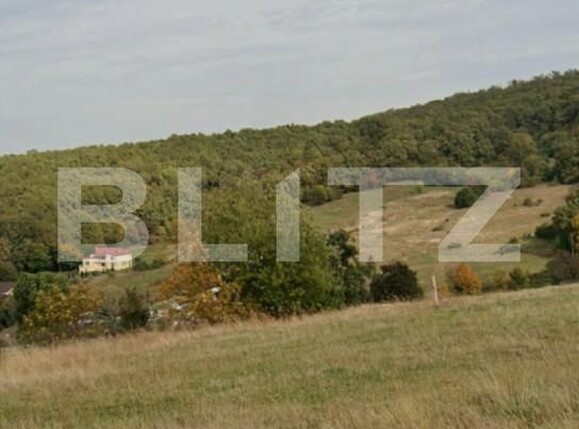 Teren de vânzare Exterior-Sud - 165660TV | BLITZ Zalău | Poza2