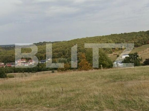 Teren de vânzare Exterior-Sud - 165660TV | BLITZ Zalău | Poza3