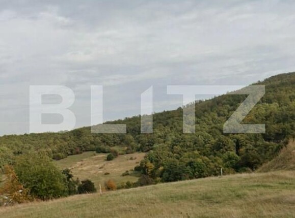 Teren de vânzare Exterior-Sud - 165660TV | BLITZ Zalău | Poza1