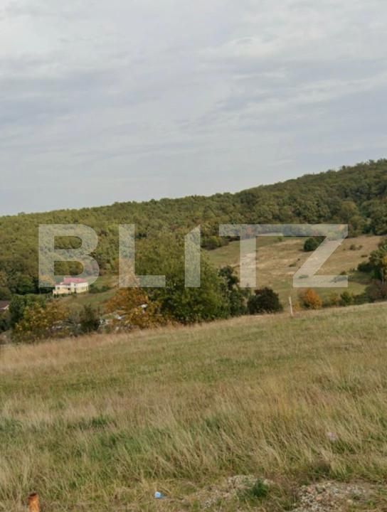 Teren de vânzare Exterior-Sud - 165660TV | BLITZ Zalău | Poza2