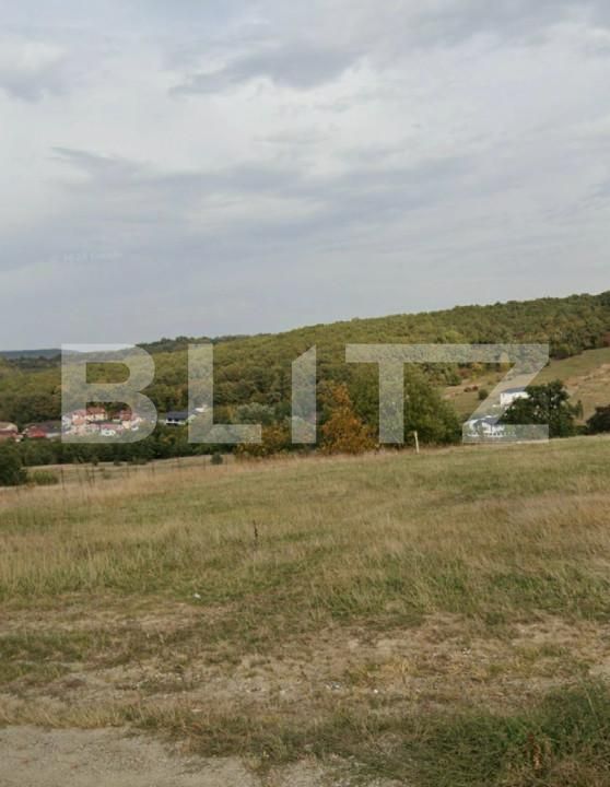 Teren de vânzare Exterior-Sud - 165660TV | BLITZ Zalău | Poza3