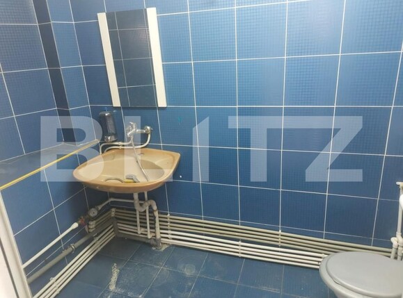 Spațiu comercial de închiriat Porolissum - 166101SIC | BLITZ Zalău | Poza5