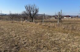 vând  teren intravilan