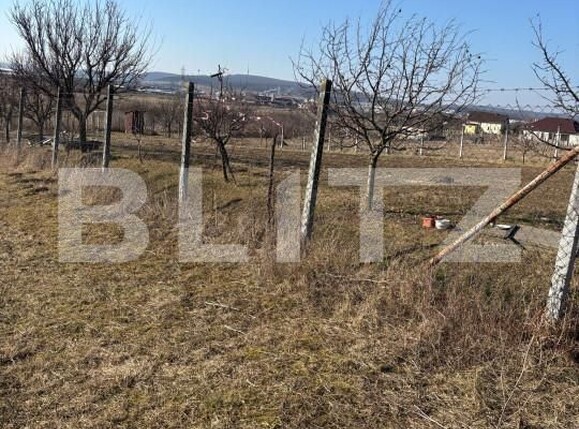 Teren de vânzare Criseni - 166238TV | BLITZ Zalău | Poza2