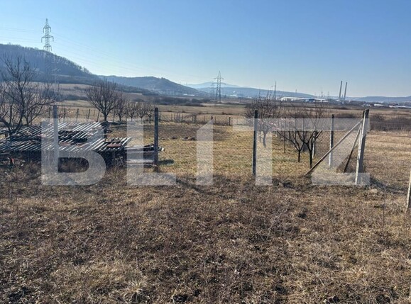 Teren de vânzare Criseni - 166238TV | BLITZ Zalău | Poza3